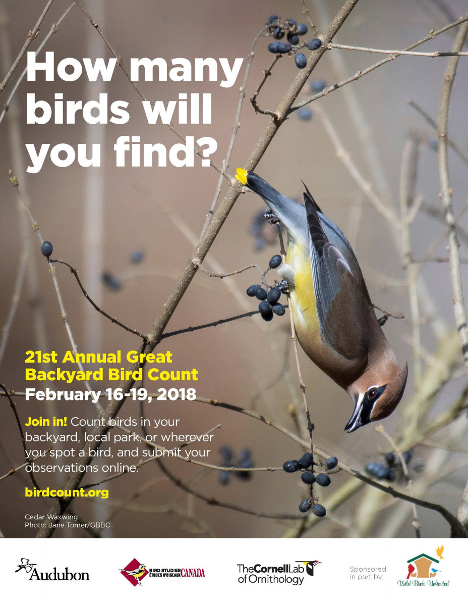 2018 Great Backyard Bird Count | Delaware-Otsego Audubon ...