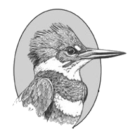 DOAS Kingfisher Logo_trns