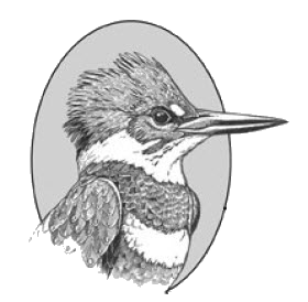 DOAS Kingfisher Logo_trns