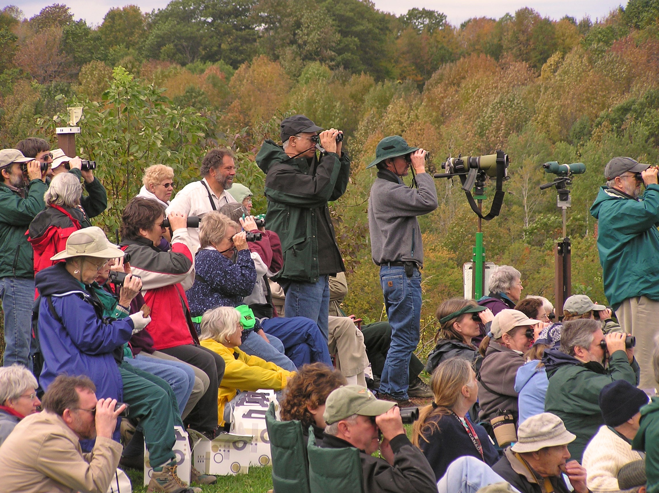 Look Up! Hawkwatch is here in New York