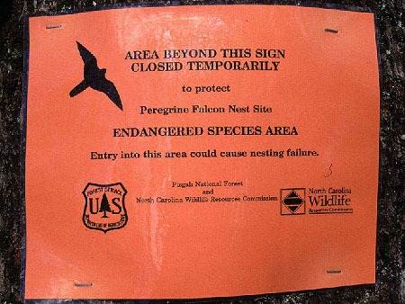 peregrine_sign