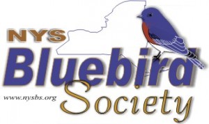 New York State Bluebird Society