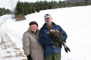 DOAS Board Members, Julia Gregory and Tom Salo with Telemetered Golden Eagle
