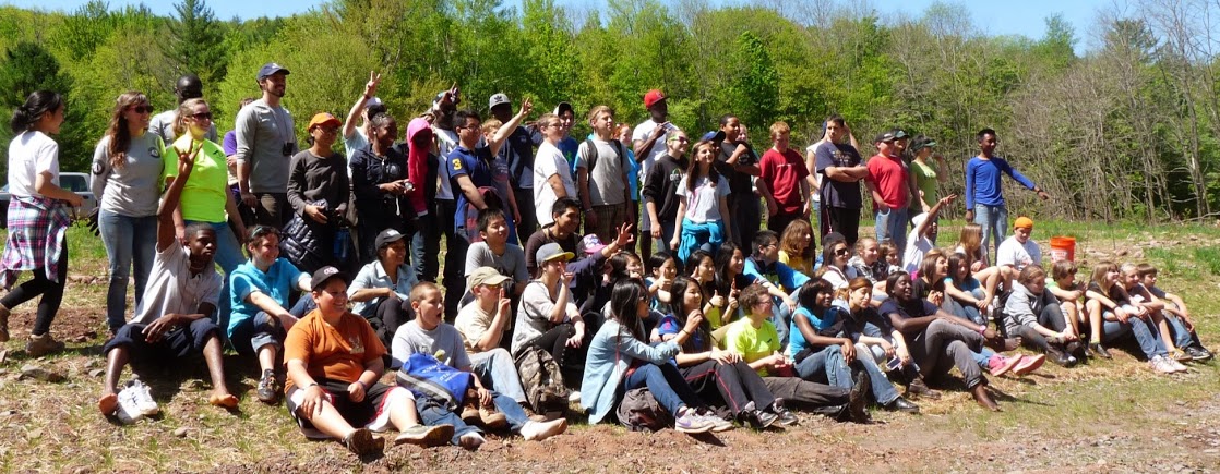 tree planting