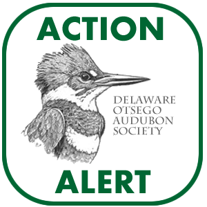 DOAS Action Alert