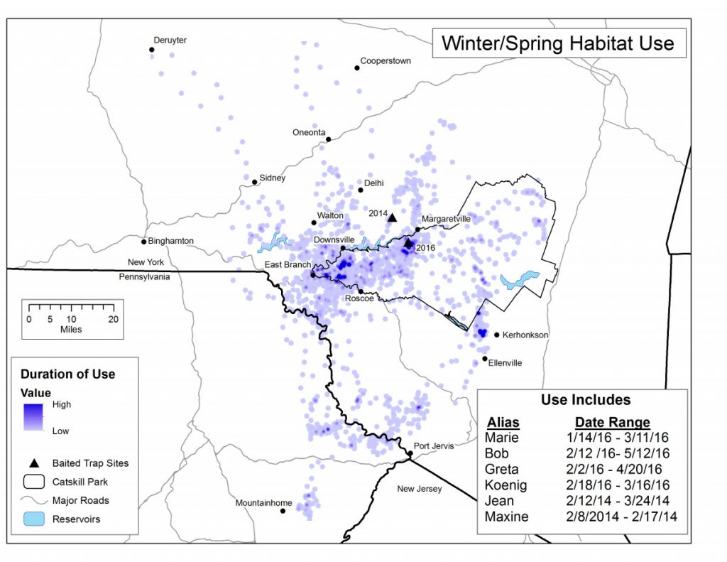 Eagle Technical Assistance Us Fish Wildlife Service