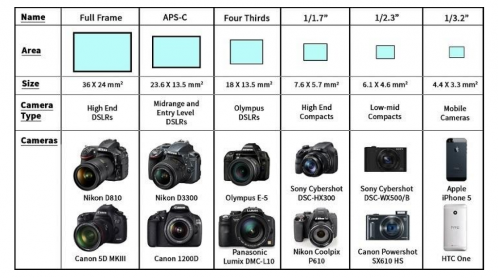 beginner camera for birding