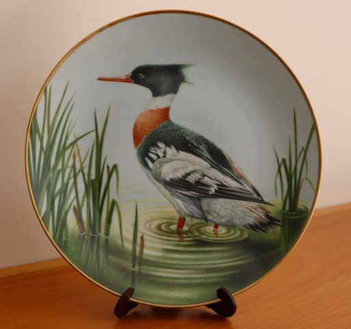 Red-breasted Merganser Decorative Plate (9.5” diameter), donated by Janice Downie. (Front)