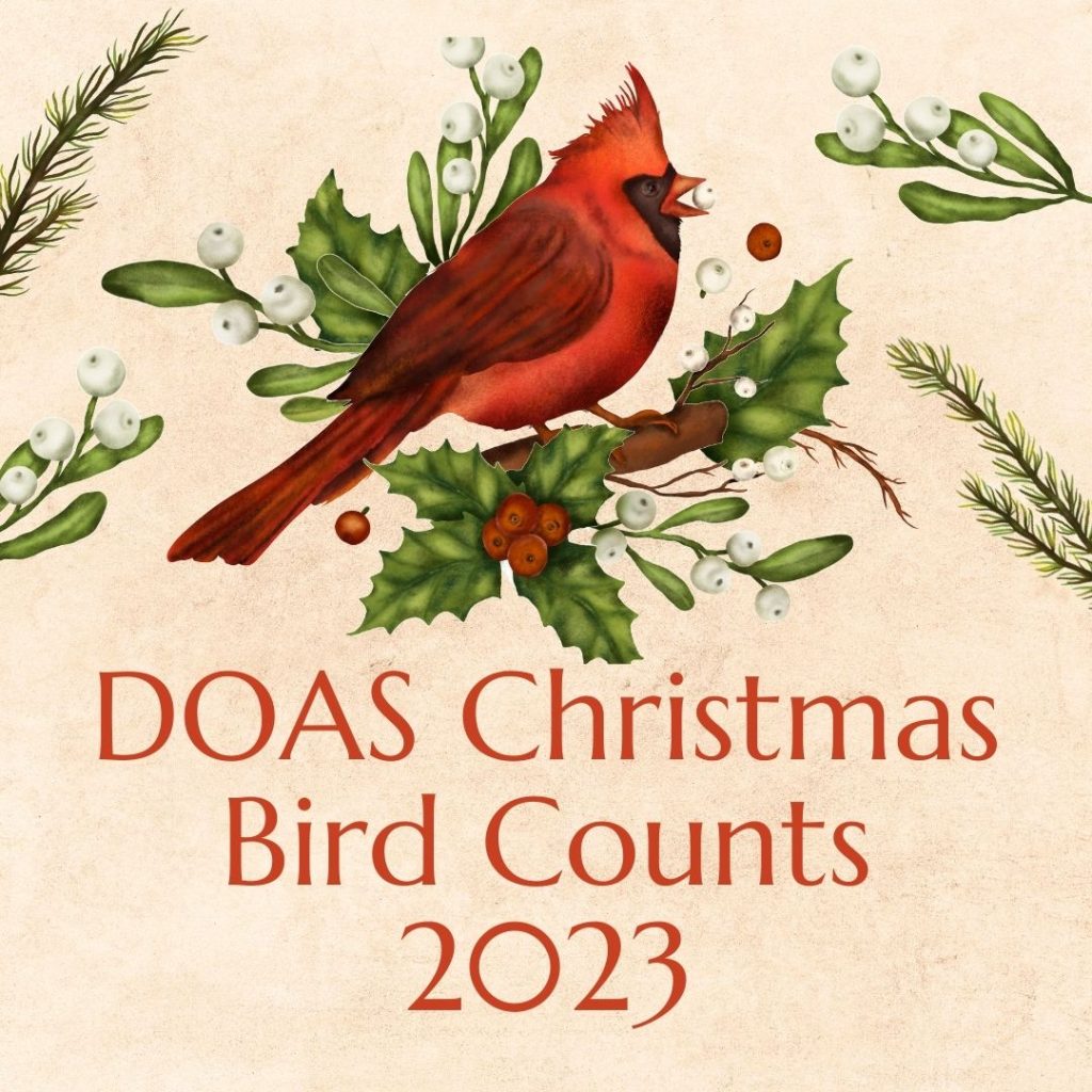 Oneonta Area Christmas Bird Count 2023 DelawareOtsego Audubon Society