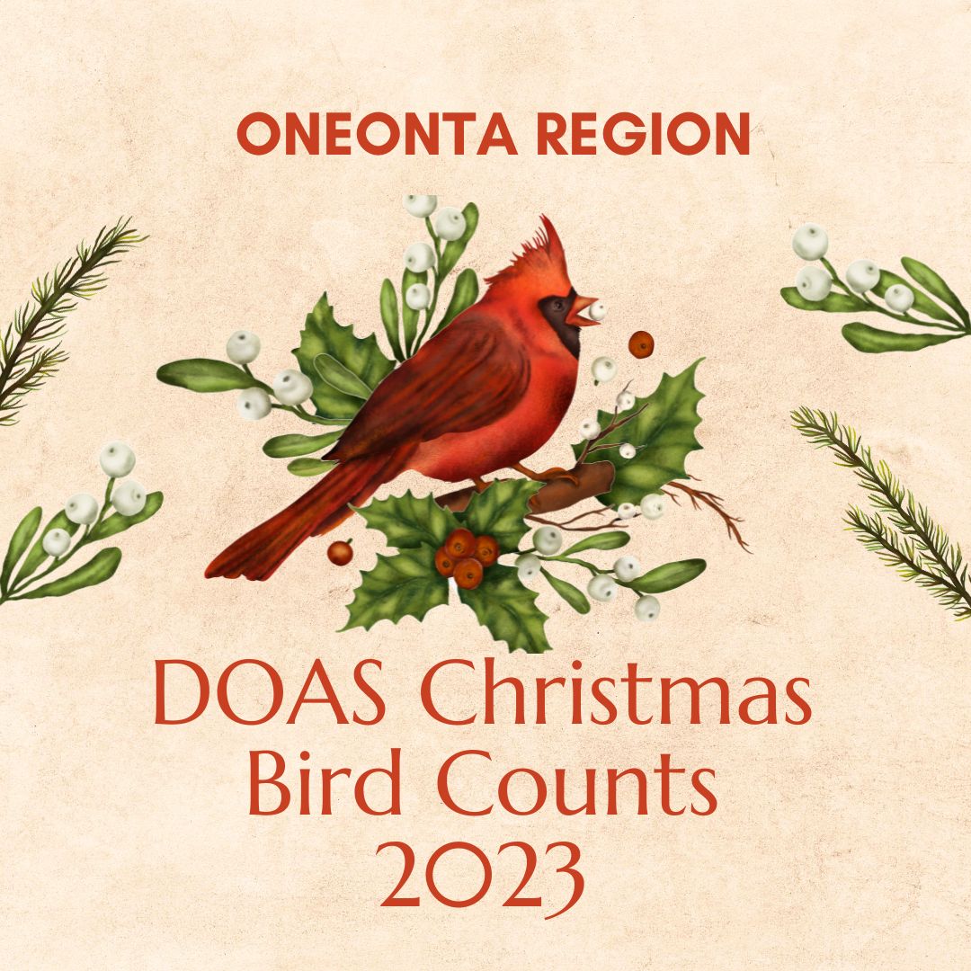 DOAS ONEONTA Christmas Bird Count DelawareOtsego Audubon Society