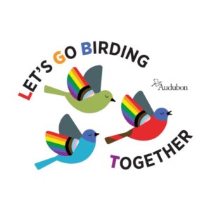 Let's Go Birding Together