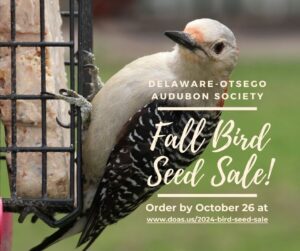 2024 Fall Bird Seed Sale