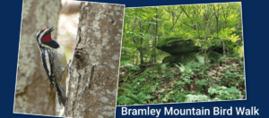 Left: Sapsucker; Right: Bramley Mountain.