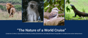 "The Nature of a World Cruise" photo collection including a lion, vervet monkey, kookaburra, and Komodo dragon