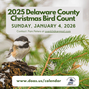 Delaware County Christmas Bird Count