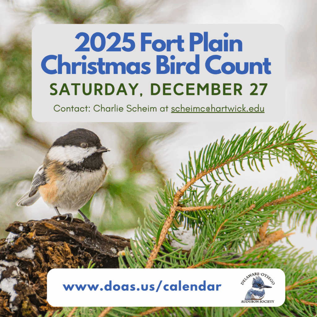 Fort Plain Christmas Bird Counts