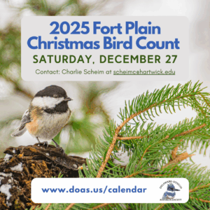 Fort Plain Christmas Bird Counts