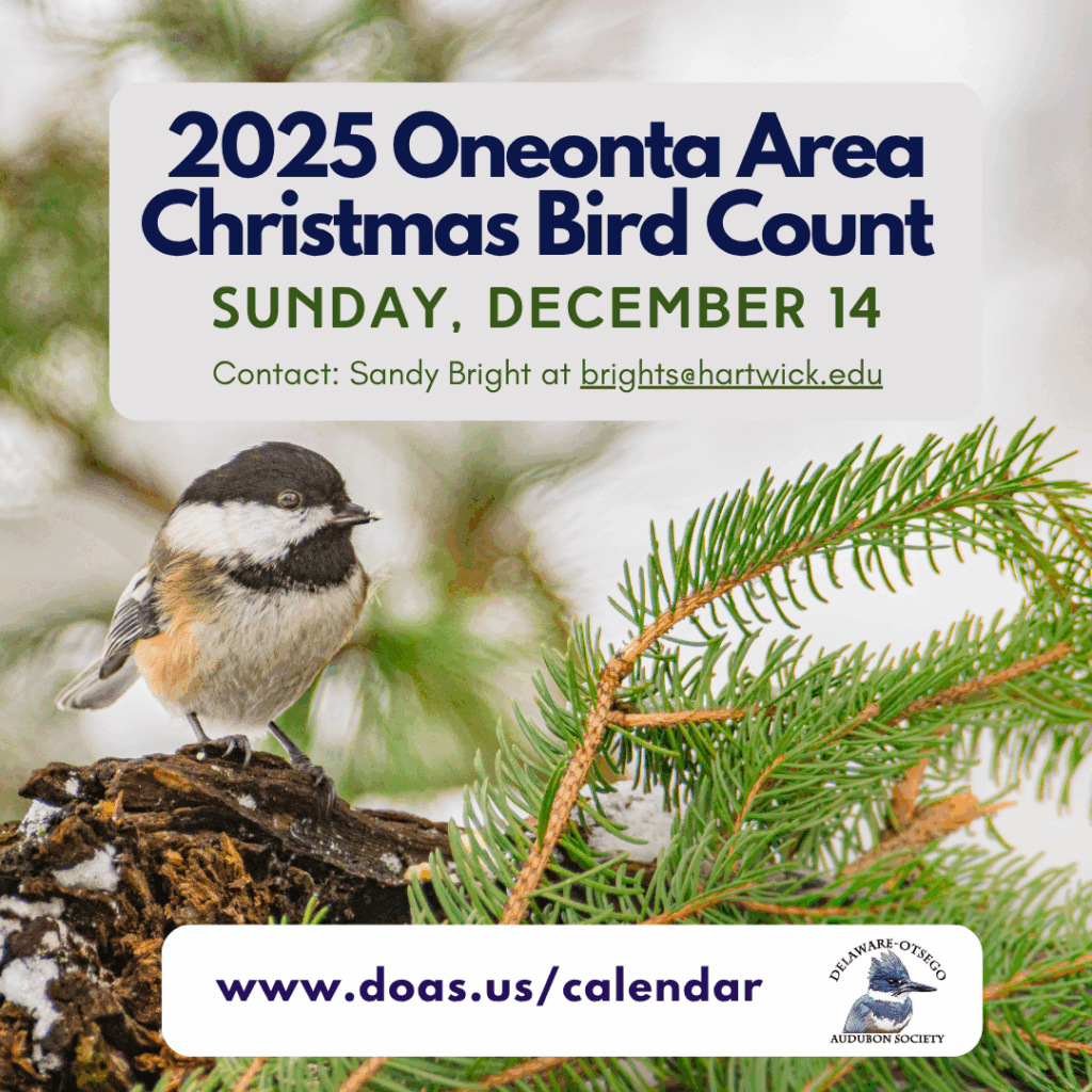 Oneonta Area Christmas Bird Counts