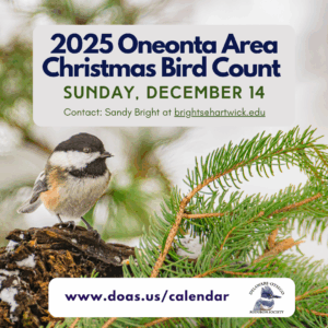 Oneonta Area Christmas Bird Counts
