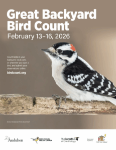 Great Backyard Bird Count 2026