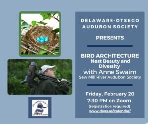 Bird Architecture program February 20
