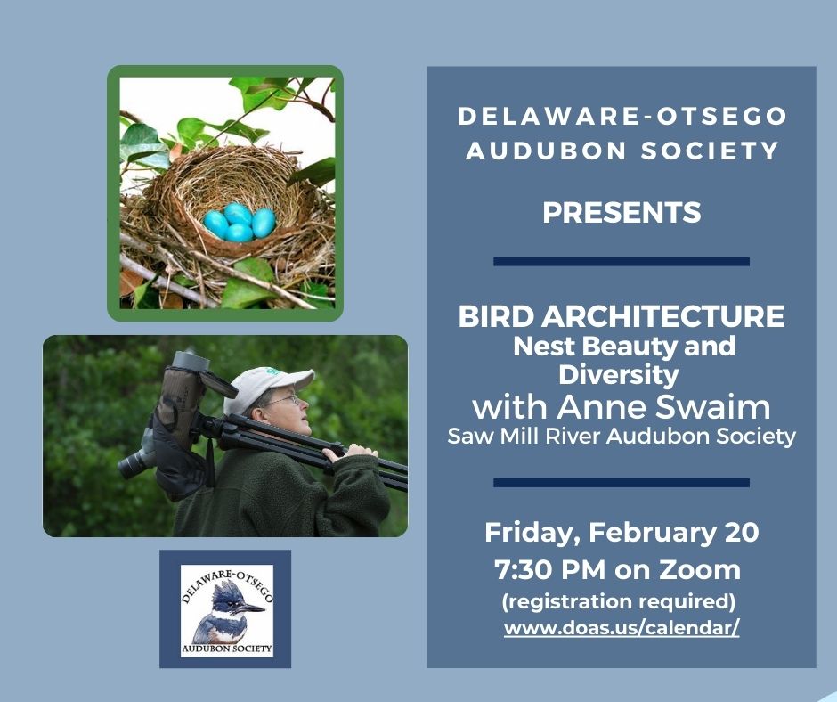 Bird Architecture program February 20